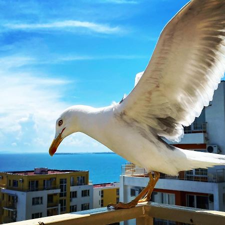 Sea View Panoramic Apartments, Fort Noks Crown Club Sveti Vlas Buitenkant foto